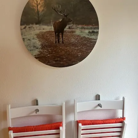 Apartmán Nense Pfalzfeld